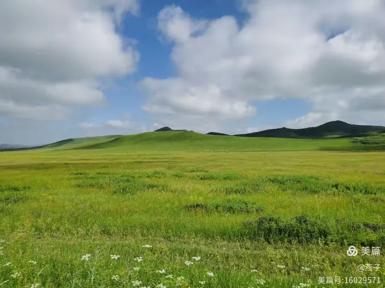 七月，醉美草原